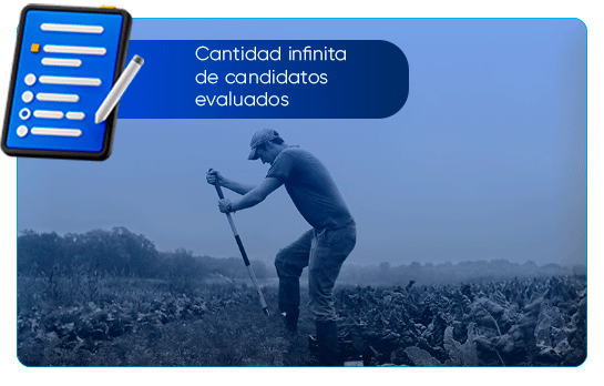 Diagnóstico psicométrico test DISC nativo - Agro